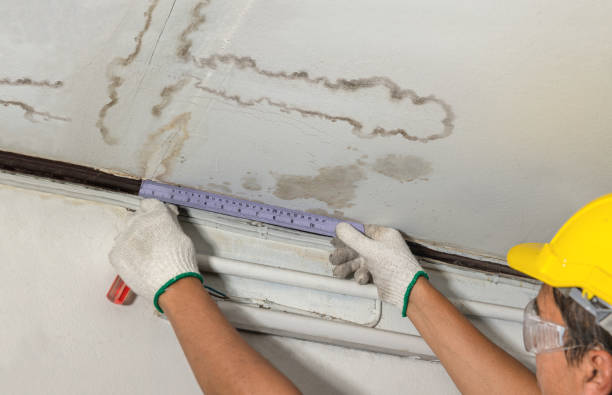 Reliable Burst Pipe Cleanup contractor in Benge, WA by Water Damage Irwin